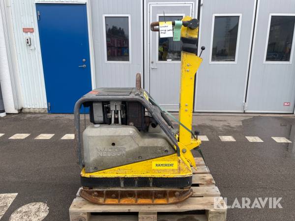 Markvibrator Wacker Neuson DPU 6555He