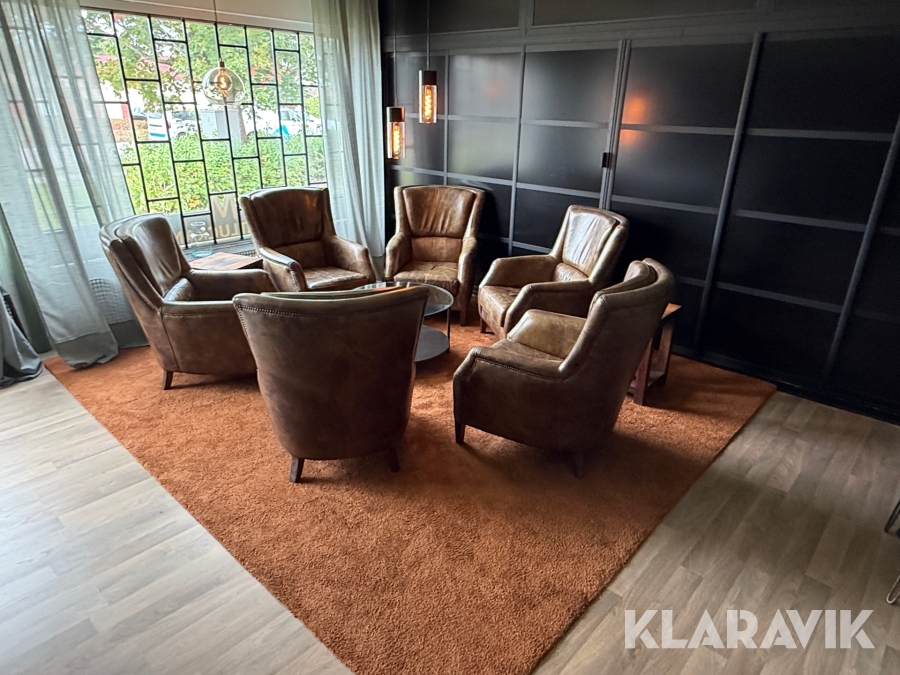 Loungegrupp skinn, bord, lampor, matta