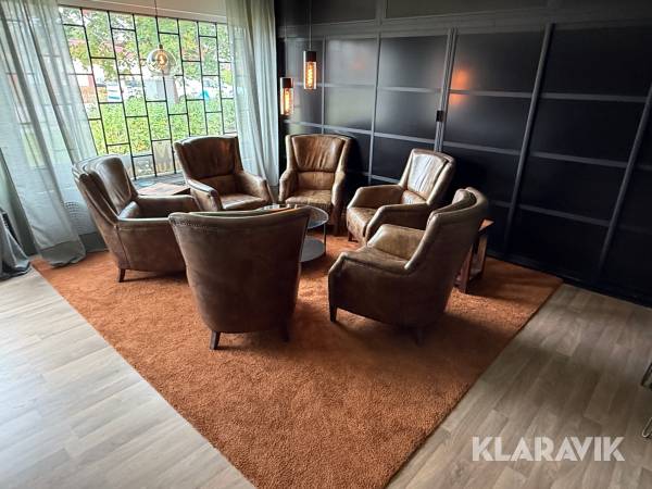 Loungegrupp skinn, bord, lampor, matta