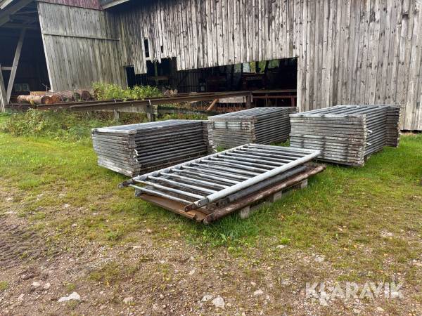 Stallinredning gris