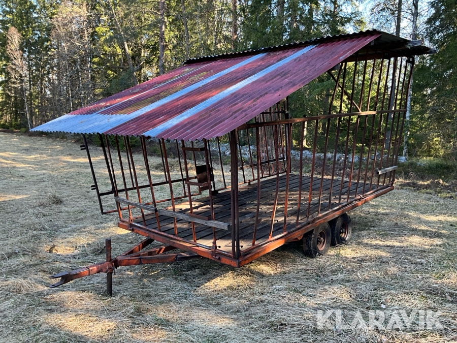 Foderhäck till får