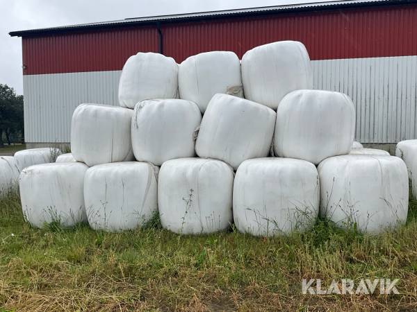 Hösilage 41st kravodlat