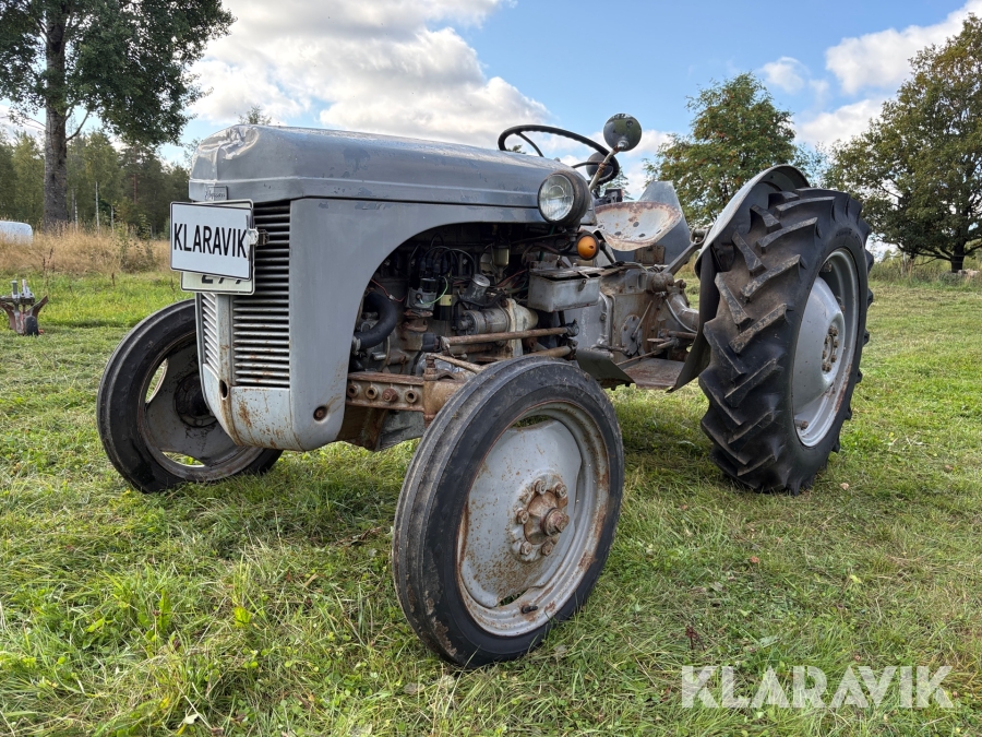 Veterantraktor Massey Ferguson TED 288597