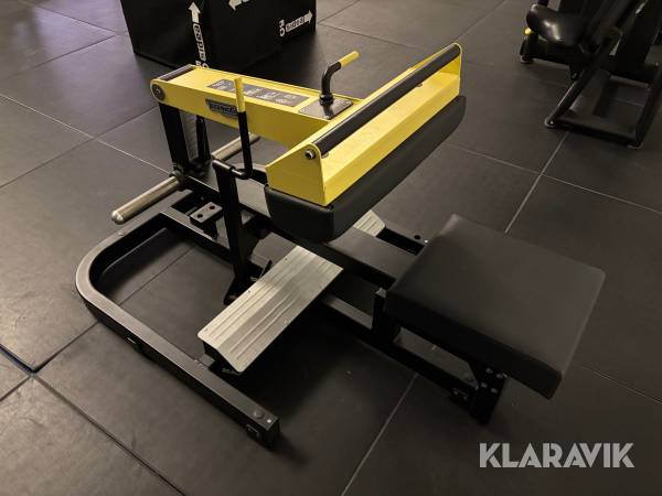 Gymmaskin TechnoGym Seated Calf