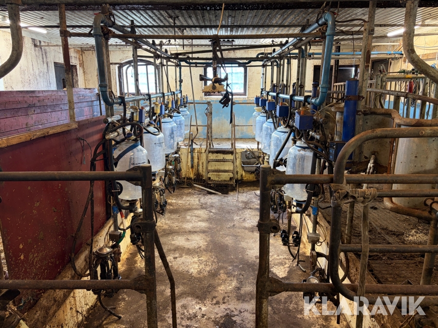 Mjölkgrop ALFA-Laval Deval 10st platser