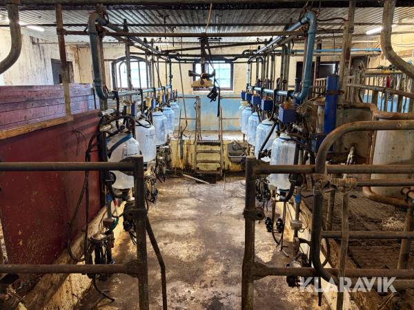 Mjölkgrop ALFA-Laval Deval 10st platser
