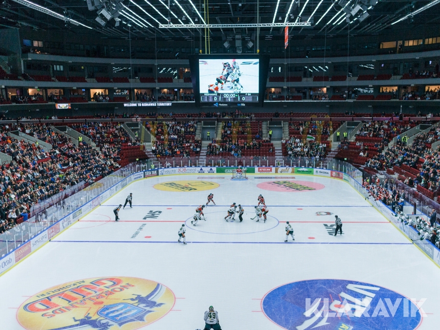 Ishockeysarg Daco 30x60 meter