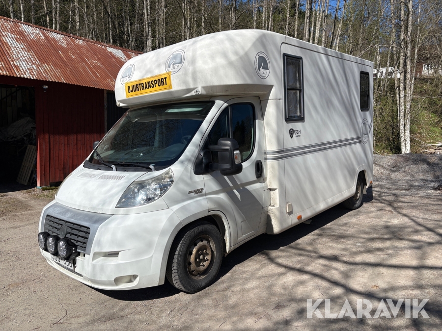Hästbuss Fiat Ducato Maxi
