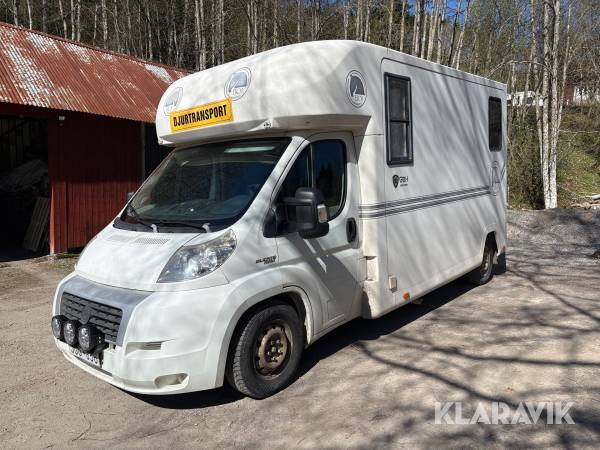 Hästbuss Fiat Ducato Maxi