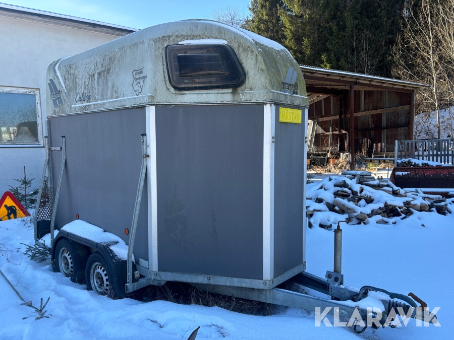 Hästtransport Henra Caliber