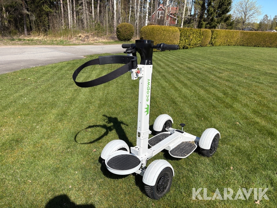 Golfskoter Ecopwr