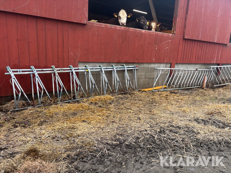 Grindar Jordain Tubulaire bovin 2st för nötkreatur