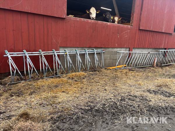 Grindar Jordain Tubulaire bovin 2st för nötkreatur