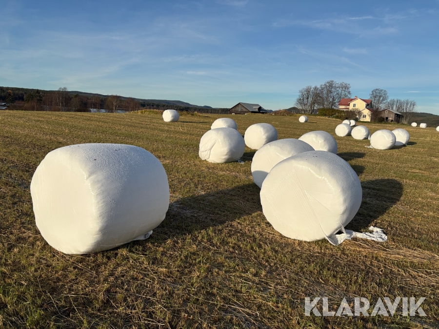 Rundbalar helsäd 50 st
