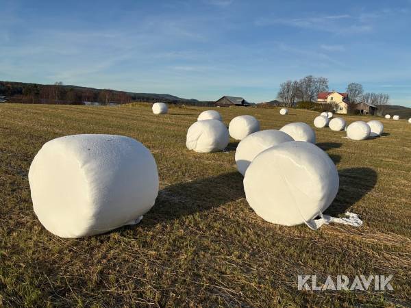 Rundbalar helsäd 50 st