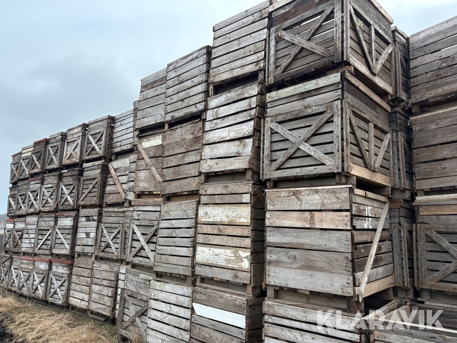 Potatislådor 125 st