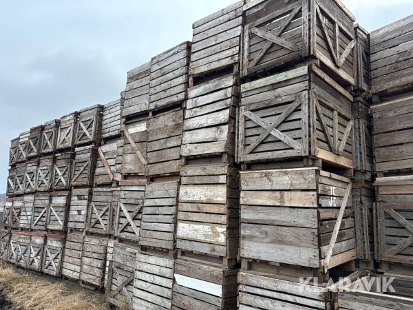 Potatislådor 125 st