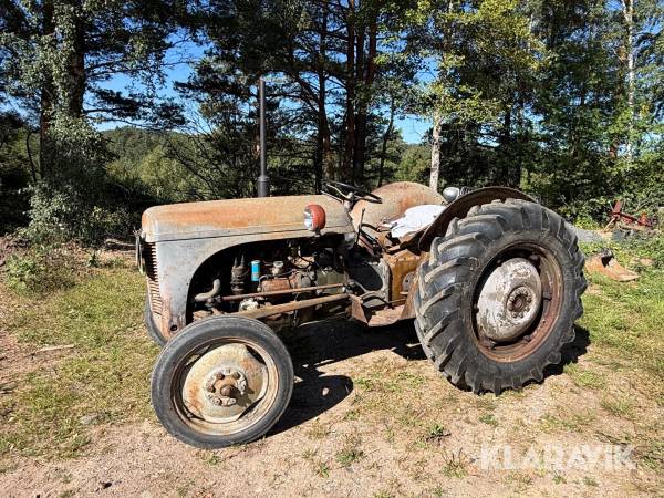 Veterantraktor Massey Ferguson Grålle