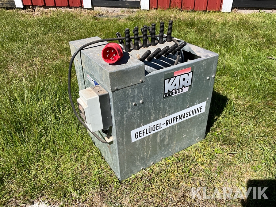 Fjäderplock för höns med skållkar