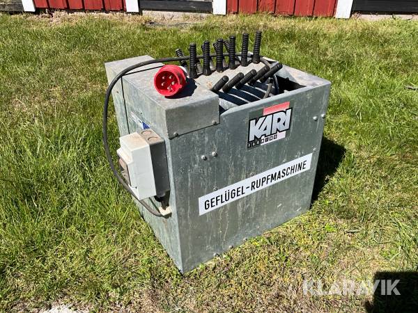 Fjäderplock för höns med skållkar
