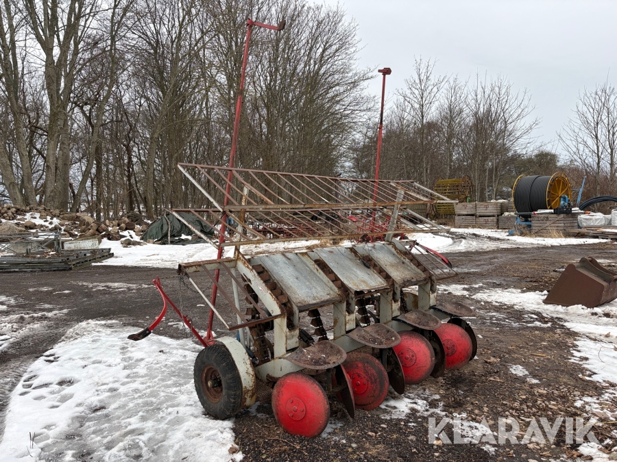 Potatissättare Triett 4-radig 65cm